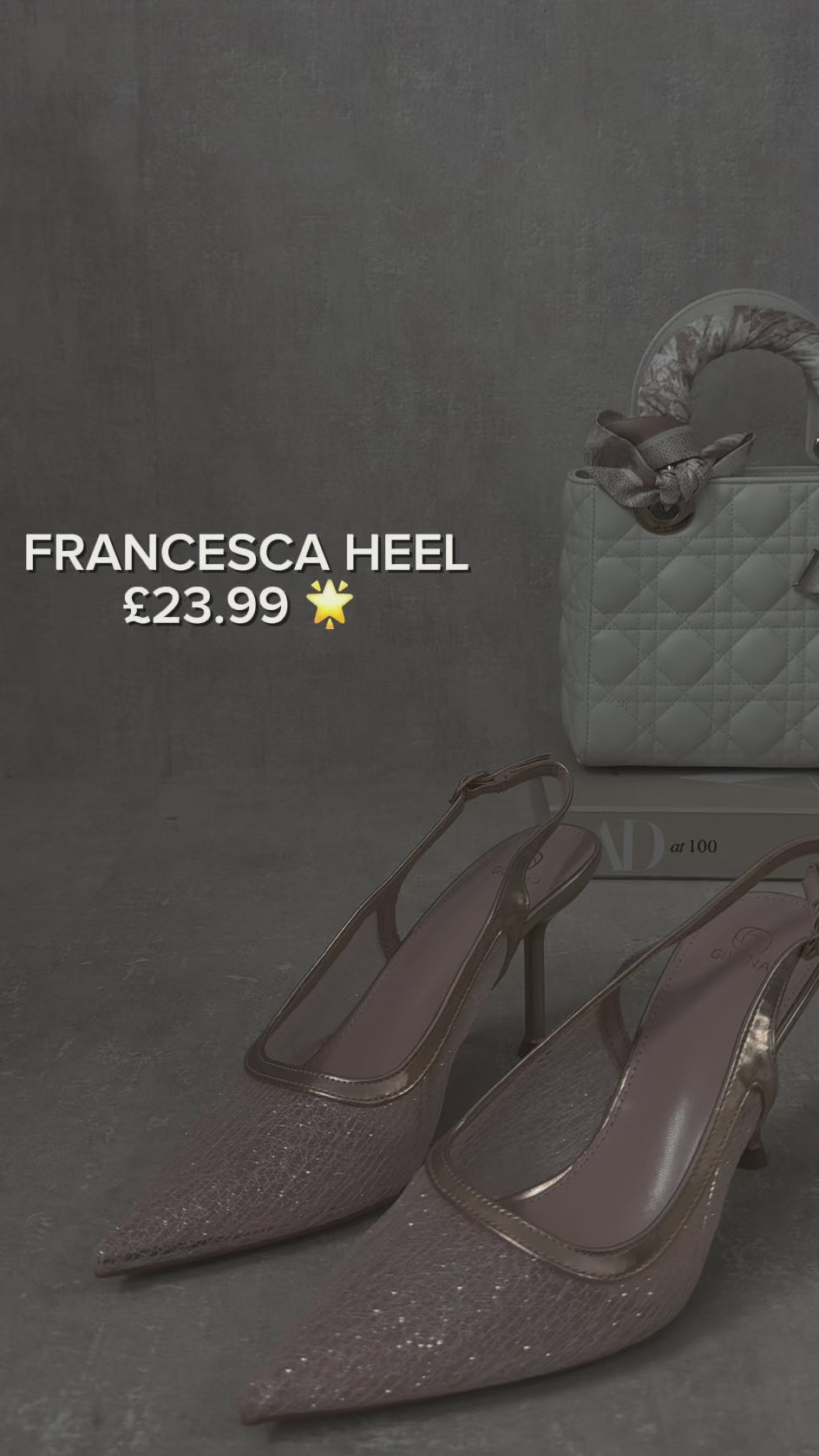 Francesca Slingback Mesh Pointed Toe High Heels